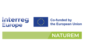 Screenshot-2025-06-11-at-9.57.20 AM-480x300